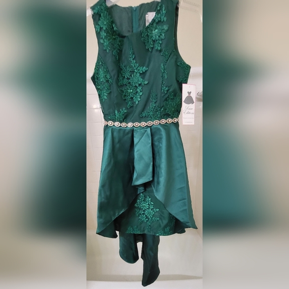 Girl's green lace & satin prom formal dress by Rare Editions from Macy's Size 16 - Picture 9 of 16